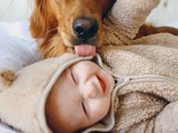 ISKRENA LJUBAV: Djeca i njihovi psi