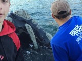 ZANIMLJIVO: Evo šta su ribari uradili kada im je prišao kit (video)