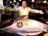 TOKIO: Riba prodata za 633.000 dolara