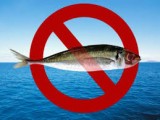 MPIRR: Formirana Radna grupa za suzbijanje nelegalnog ribolova