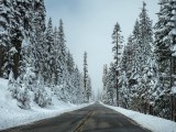 HERCEG NOVI: Kamioni zaglavljeni u nametima snijega