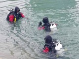 PRONAĐEN AUTOMOBIL: Tijelo nestale žene nije pronađeno u kanjonu Cijevne, pitanje je da li se utopila
