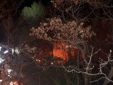 KOTOR: Vatrogasci satima gasili podmetnuti požar