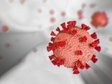 SVIJET: Više od 133 miliona zaraženih koronavirusom