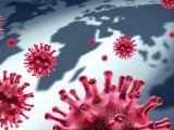 IJZCG: Još 44 novoinficiranih korona virusom