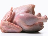 INSPEKCIJA: Prošle godine uništeno više od 16 tona piletine