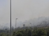 PODGORICA:  Požare gasi 20 vatrogasnih vozila