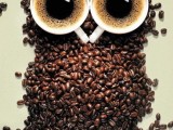 KORISNO: Osam načina da iskoristite talog od kafe