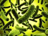 AMERIČKI NAUČNICI: Pojavila se super bakterija otporna na sve antibiotike