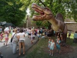 BEOGRAD: Otvoren Dino park na Kalemegdanu