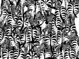 TEST: Ako uspijete da pronađete jazavca među zebrama vi ste genijalac