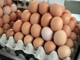 ZANIMLJIVOSTI: Šest trikova da jaja ne puknu dok se kuvaju