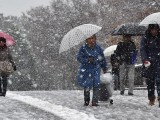 NAKON 54 GODINE: ,,Novembarski” snijeg iznenadio stanovnike Tokija
