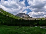 SVJETSKI DAN BIODIVERZITETA I EVROPSKI DAN PARKOVA: Besplatan ulaz u Nacionalne parkove Crne Gore