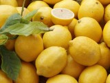 UPRAVA ZA BEZBJEDNOST HRANE: Spriječen uvoz 36.000 kilograma zatrovanog limuna