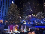 FOTO: Njujorška priprema za božićne i novogodišnje praznike