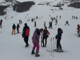 TC DURMITOR: Besplatan autobuski prevoz od Podgorice do skijališta Savin kuk 17. i 18. februara