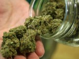 PODGORICA: Pronađeno 120 grama marihuane u školskom dvorištu