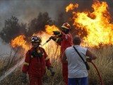 GRČKA: Požari na Atici pod kontrolom, potraga za preživjelima