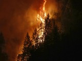 KALIFORNIJA: 17 požara, poginulo najmanje osam osoba
