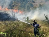 PREVENTIVNE MJERE DALE REZULTATE: Značajno smanjen broj požara u Podgorici