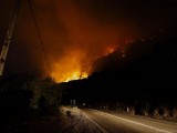 BUDVA: Požar na Paštrovskoj gori u potpunosti ugašen