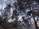 GRČKA: Izbio novi požar na Atici