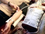 ZAVOD ZA TRANSFUZIJU: Dobrovoljnim davaocima krvi ulaznice za Sea Dance