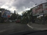 ZBOG OLUJNOG VJETRA: U Crnoj Gori na snazi narandžasti meteoalarm