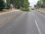 FOTO ZUM: Usljed jakog vjetra oboreno stablo na Bulevar Mihaila Lalića