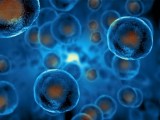 AMERIKA: Dvanaest osoba se zarazilo bakterijom kroz matične ćelije