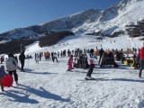 NTO: Besplatan autobuski prevoz iz Podgorice, Kotora, Budve i Bara za “ski opening” događaj na Žabljaku