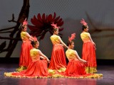 DELTA CITY: Manifestacija “Predstava kineske nematerijalne baštine” počinje sjutra