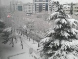 FOTO: Podgorica pod snijegom