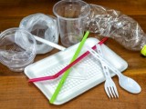 EVROPSKI PARLAMENT: Zabranjuju se plastični predmeti za jednokratnu upotrebu