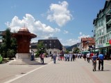 MONSTAT: Bijela kuga u 15 opština u Crnoj Gori