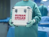 CRNA GORA: Usvojen Prijedlog zakona o presađivanju organa, doniranje moguće i u slučaju moždane smrti
