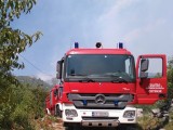 CETINJE: Šumski požar u selu Drušići, vatrogasci na terenu