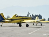 BIH: Na gašenju požara angažovana tri crnogorska aviona