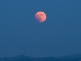FENOMEN: Večeras će se iznad Crne Gore vidjeti ružičasti supermjesec