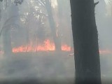 PODGORICA: Požar na Gorici ponovo aktivan