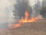 VIDEO: Požar u podgoričkom naselju Zelenika