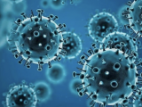 IJZCG: Još 34 novoinficiranih korona virusom