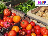 HIPP TEHNOLOGIJA: Šta je organska hrana (2)