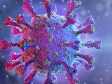 KORONA: „Kraken“ – varijanta virusa koja prijeti Evropi