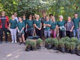 NIKŠIĆ: Novih 120 sadnica za još zeleniju park šumu Trebjesa