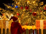 The Magic Arrived in Portonovi as More than 20,000 Lights on the New Year Tree Were Turned On, and the Sparkling Season Started