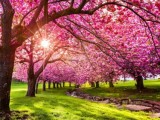 CITATI: Proljeće je više od puke promjene godišnjeg doba